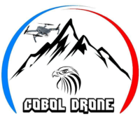 Cobol Drone