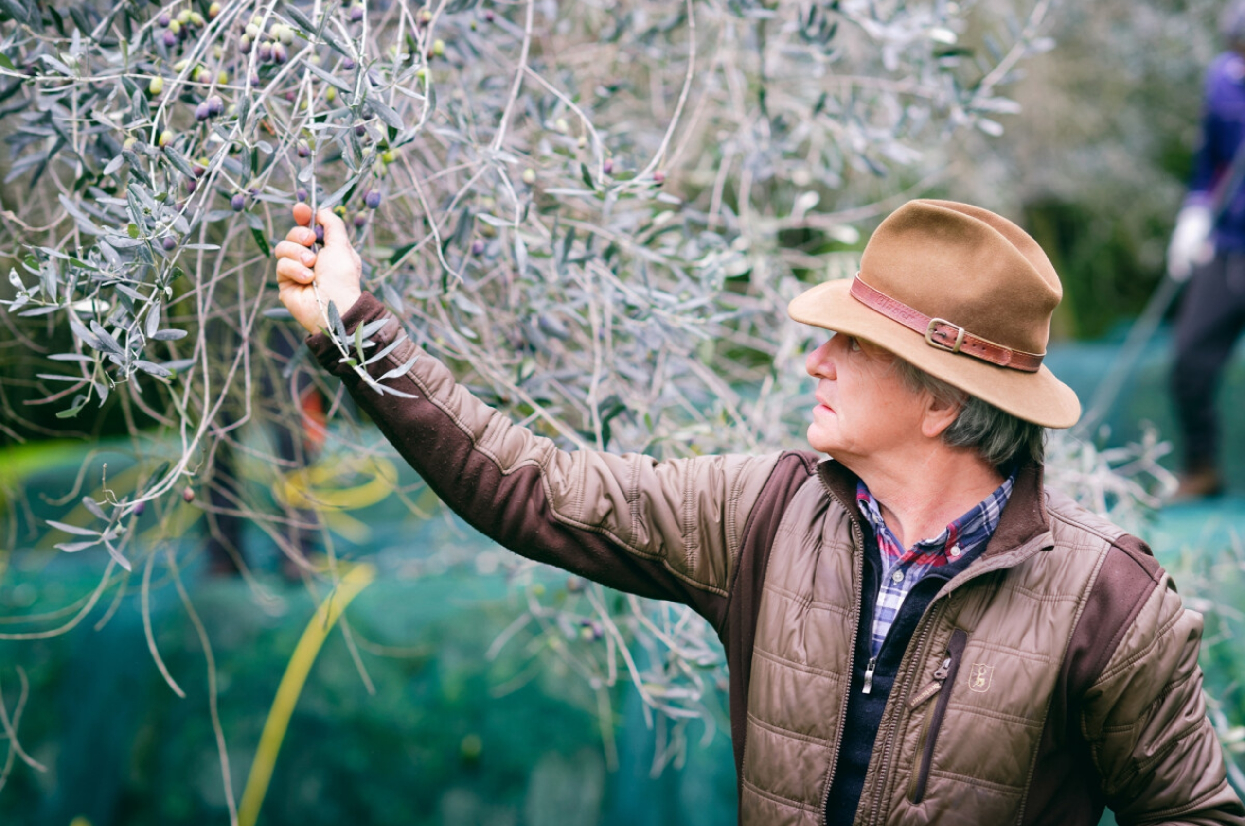 Savoir-faire niçois huile d'olive